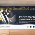 Legendary Vocal Condenser Microphone Singing Live Sound Card in Dar es Salaam, Tanzania
